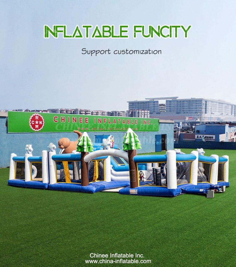 T6-808-1 - Chinee Inflatable Inc.