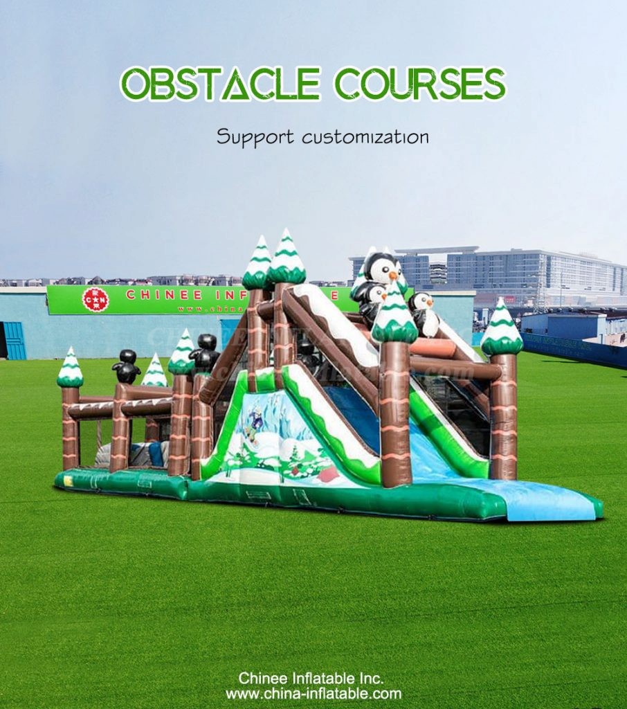 T7-1316-1 - Chinee Inflatable Inc.