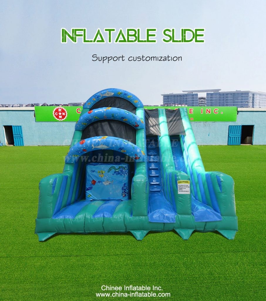 T8-4048--1 - Chinee Inflatable Inc.