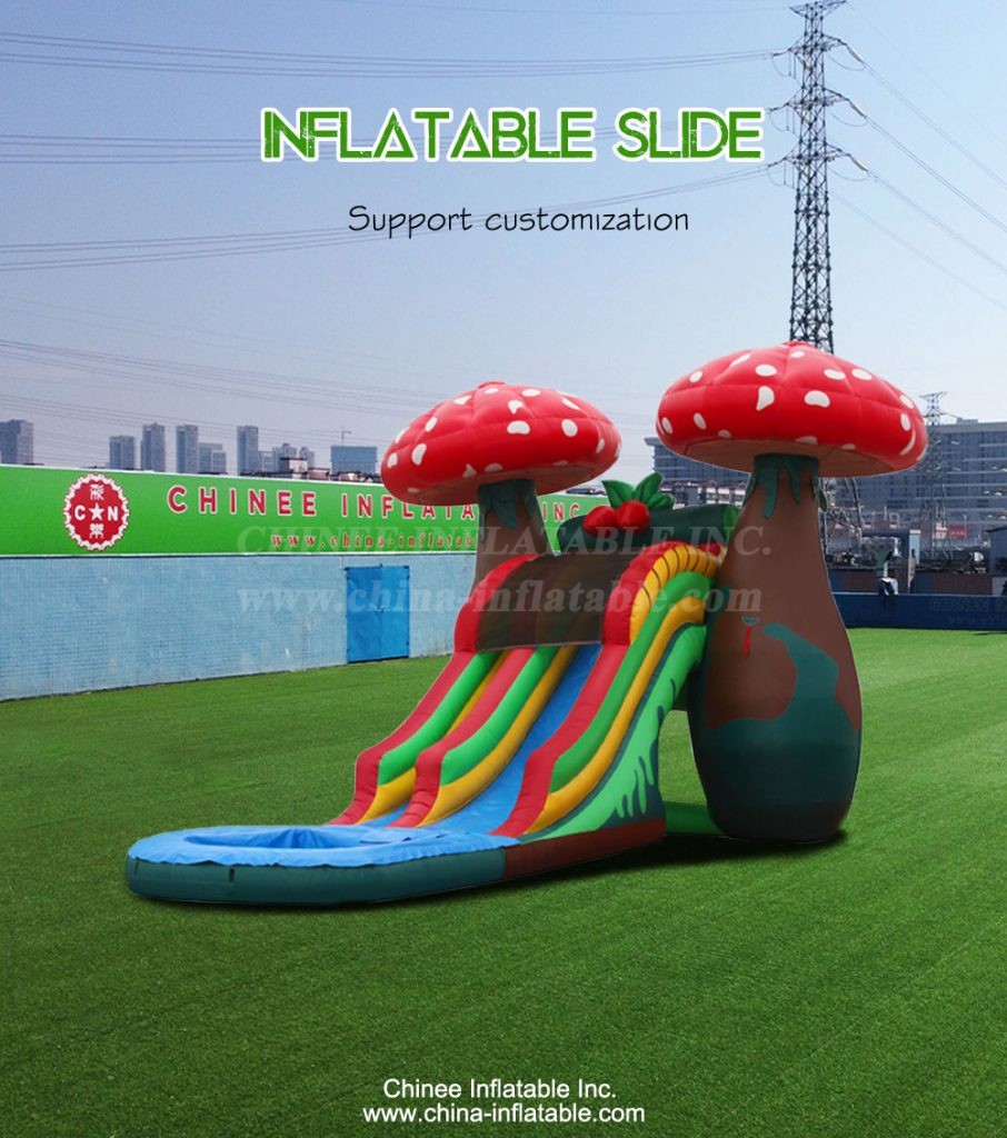 T8-4091-1 - Chinee Inflatable Inc.