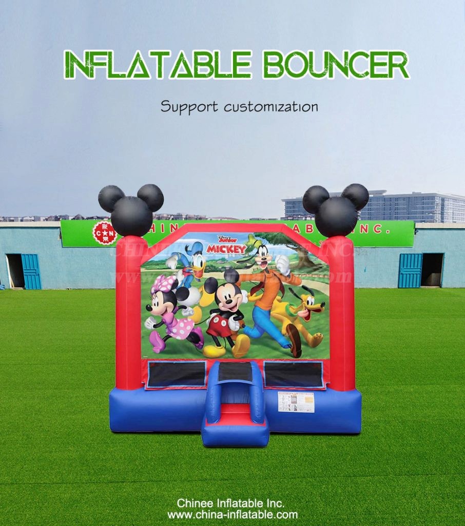 T2-4254-1 - Chinee Inflatable Inc.