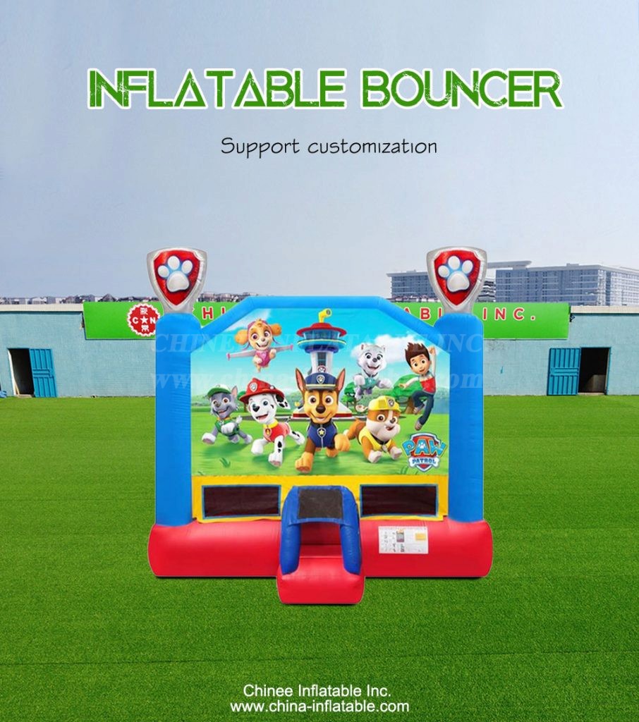 T2-4256-1 - Chinee Inflatable Inc.