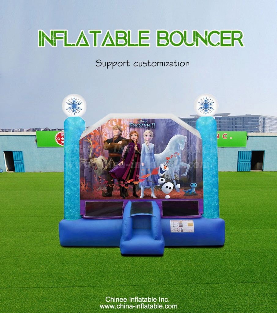 T2-4260-1 - Chinee Inflatable Inc.