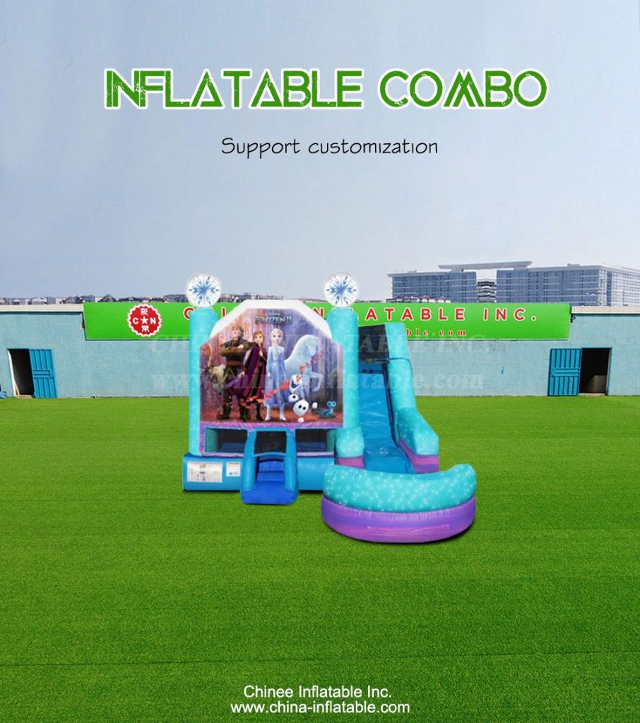 T2-4321-1 - Chinee Inflatable Inc.