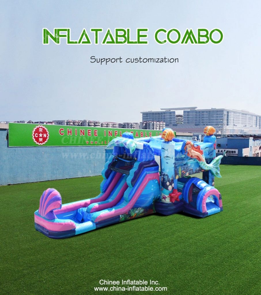 T2-4322-1 - Chinee Inflatable Inc.