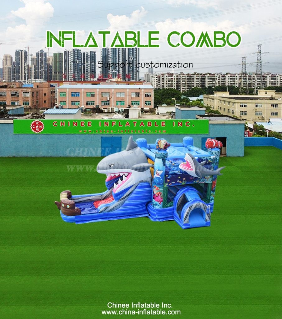 T2-4323-1 - Chinee Inflatable Inc.