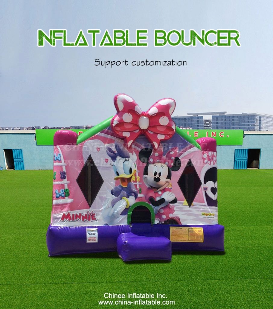 T2-4329-1 - Chinee Inflatable Inc.