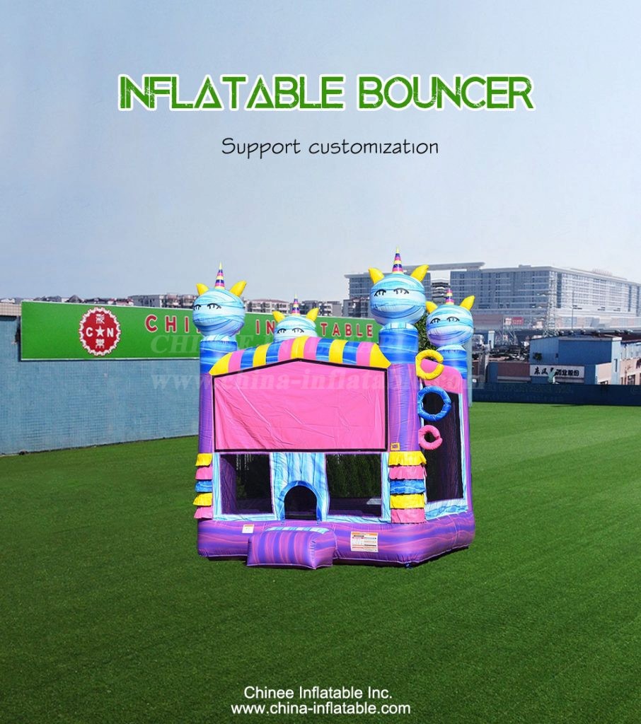 T2-4358-1 - Chinee Inflatable Inc.