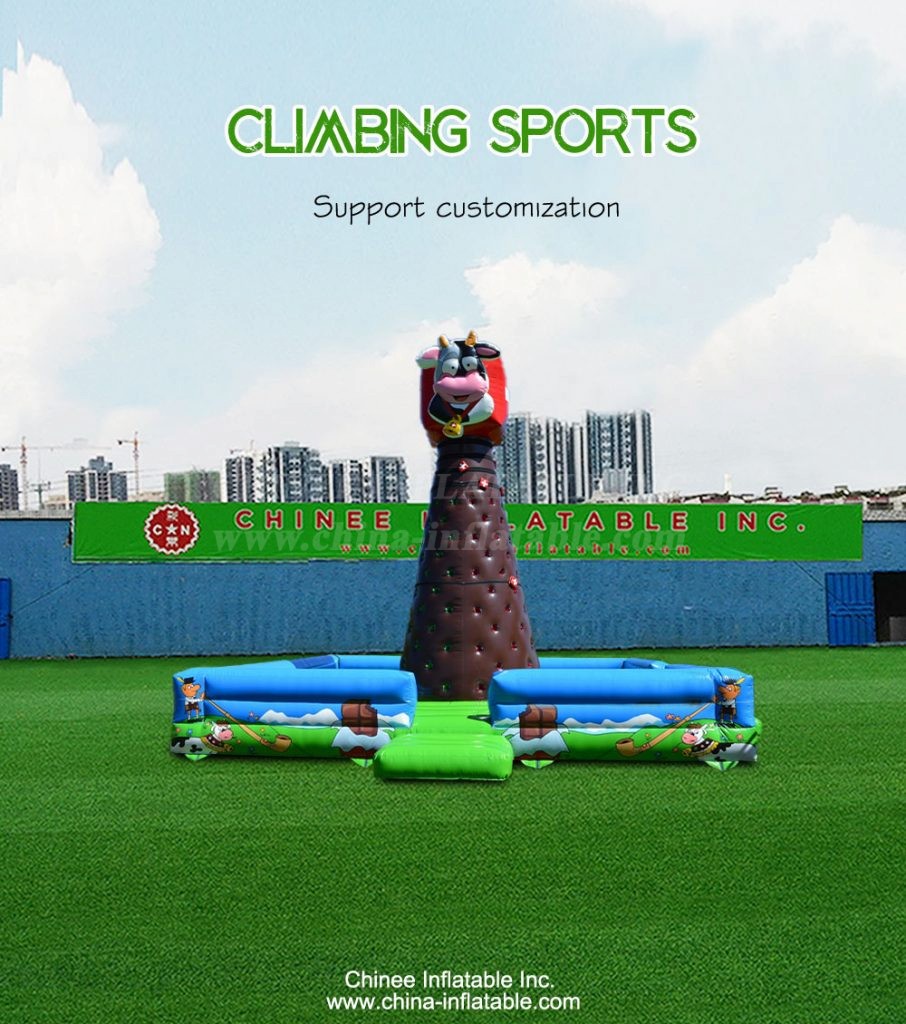 T11-3186-1 - Chinee Inflatable Inc.