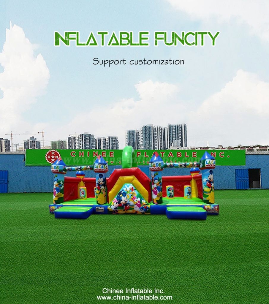 T6-856-1 - Chinee Inflatable Inc.