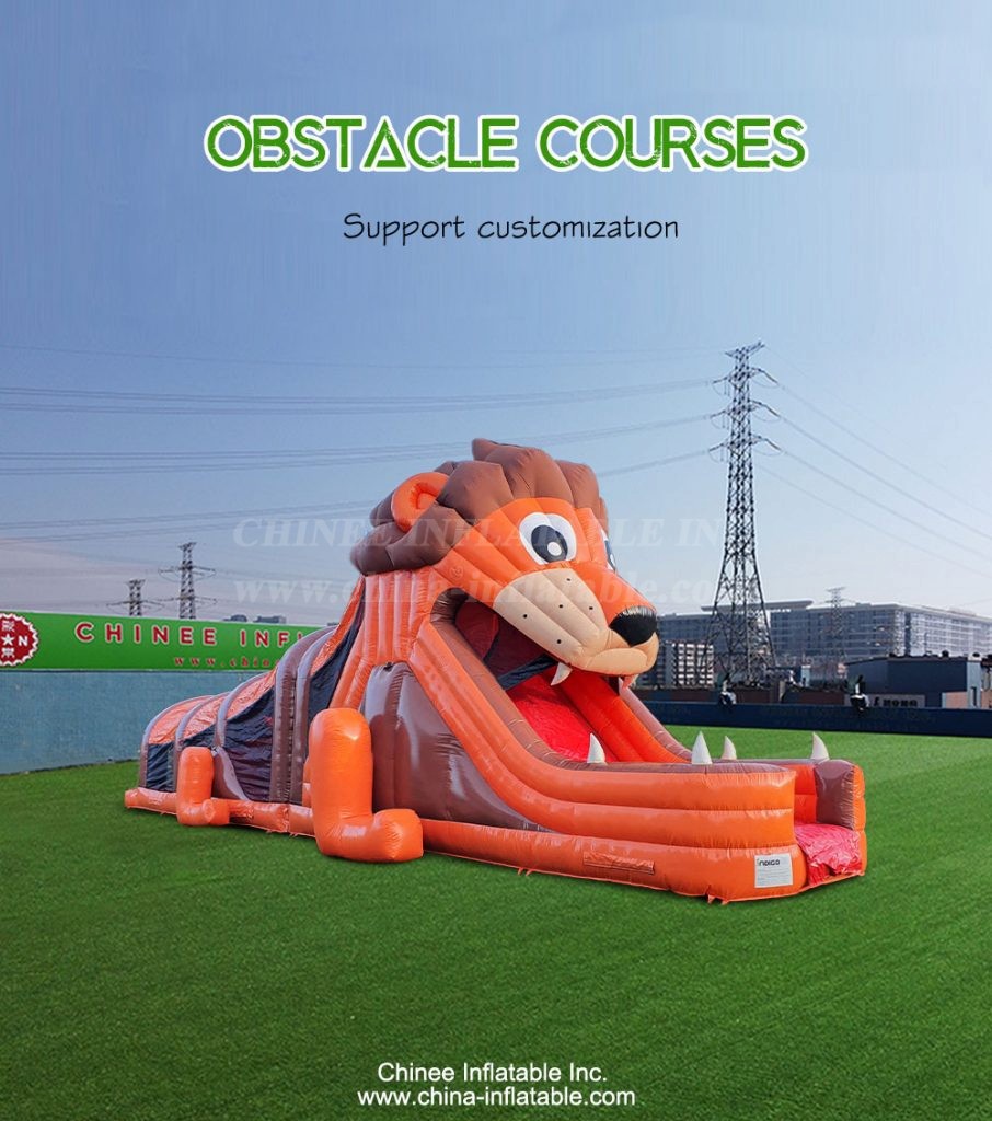 T7-1524-1 - Chinee Inflatable Inc.