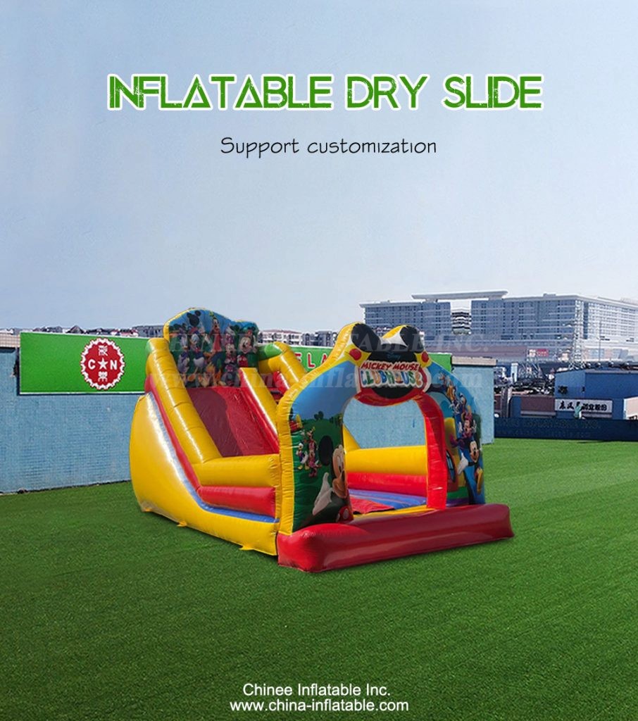 T8-4206-1 - Chinee Inflatable Inc.
