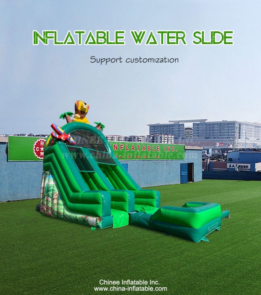 T8-4233-1 - Chinee Inflatable Inc.