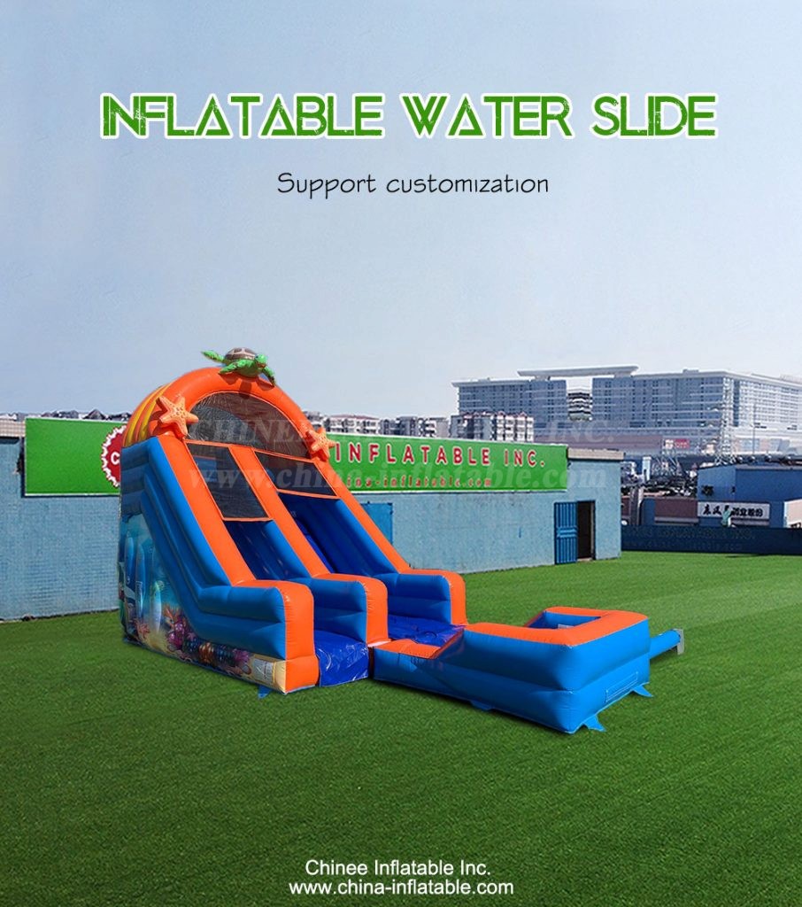 T8-4234-1 - Chinee Inflatable Inc.