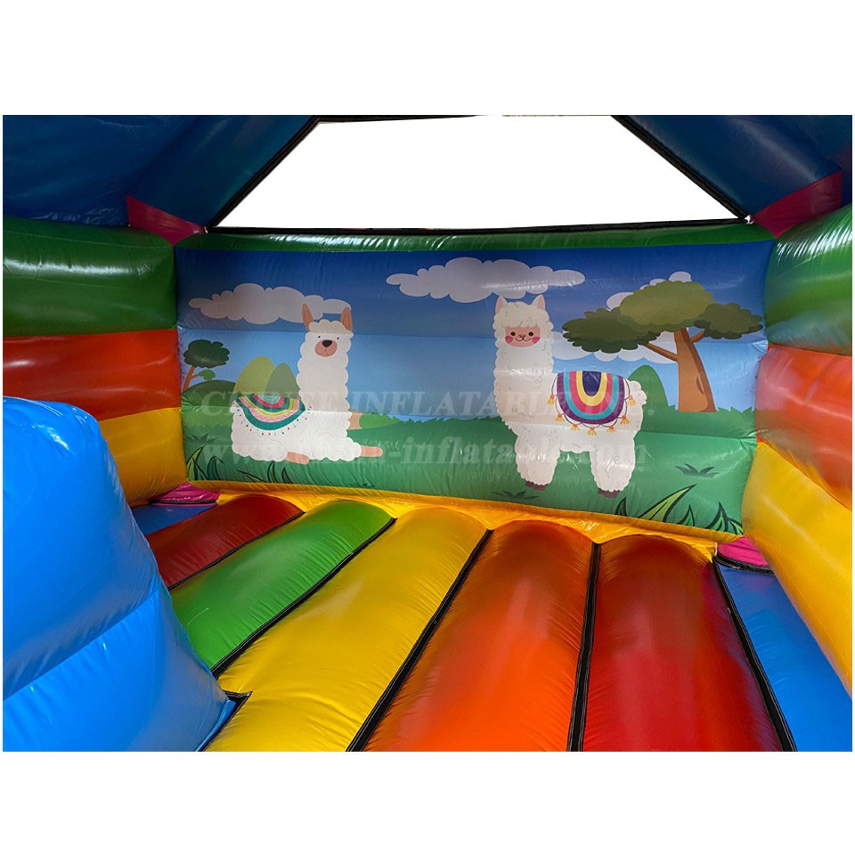 T2-4837 Alpaca Inflatable Combo