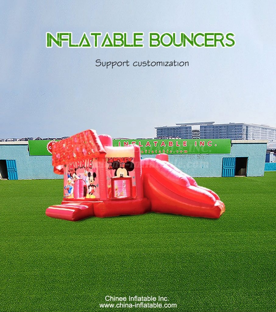 T2-4521-1 - Chinee Inflatable Inc.