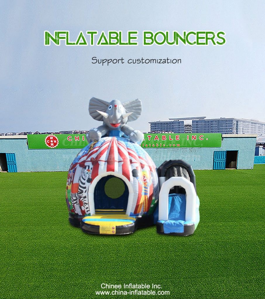 T2-4546-1 - Chinee Inflatable Inc.