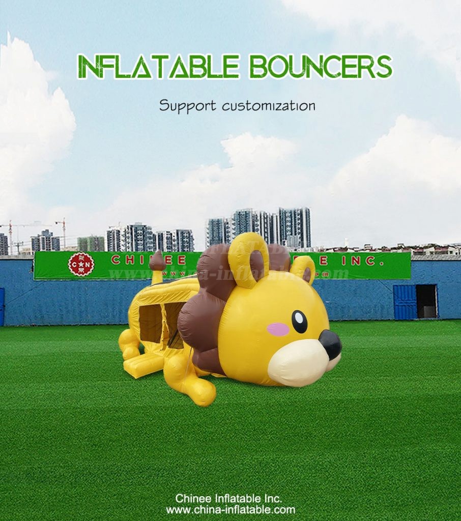 T2-4691-1 - Chinee Inflatable Inc.