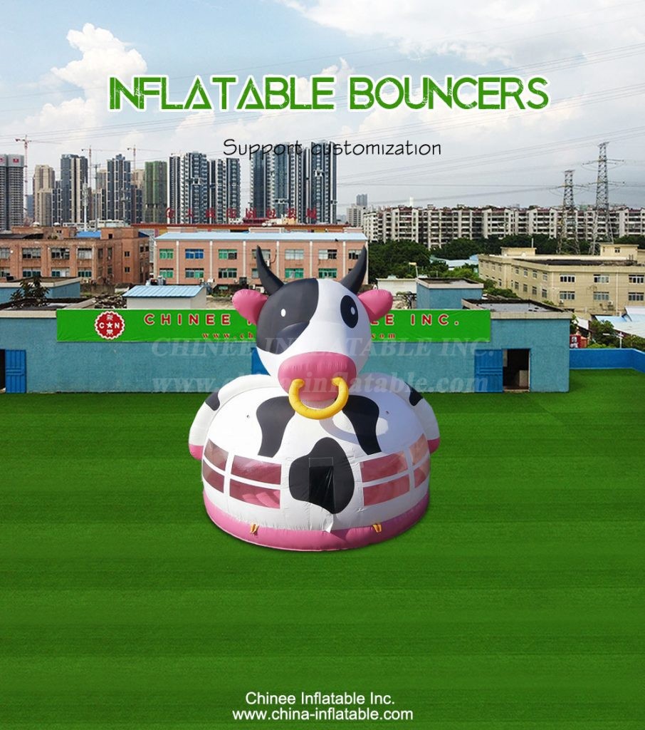 T2-4776-1 - Chinee Inflatable Inc.