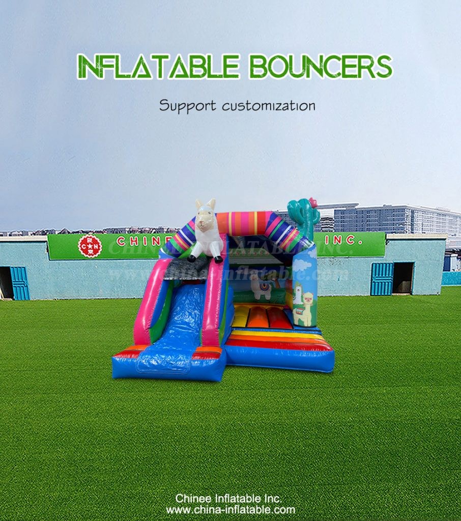 T2-4837-1 - Chinee Inflatable Inc.