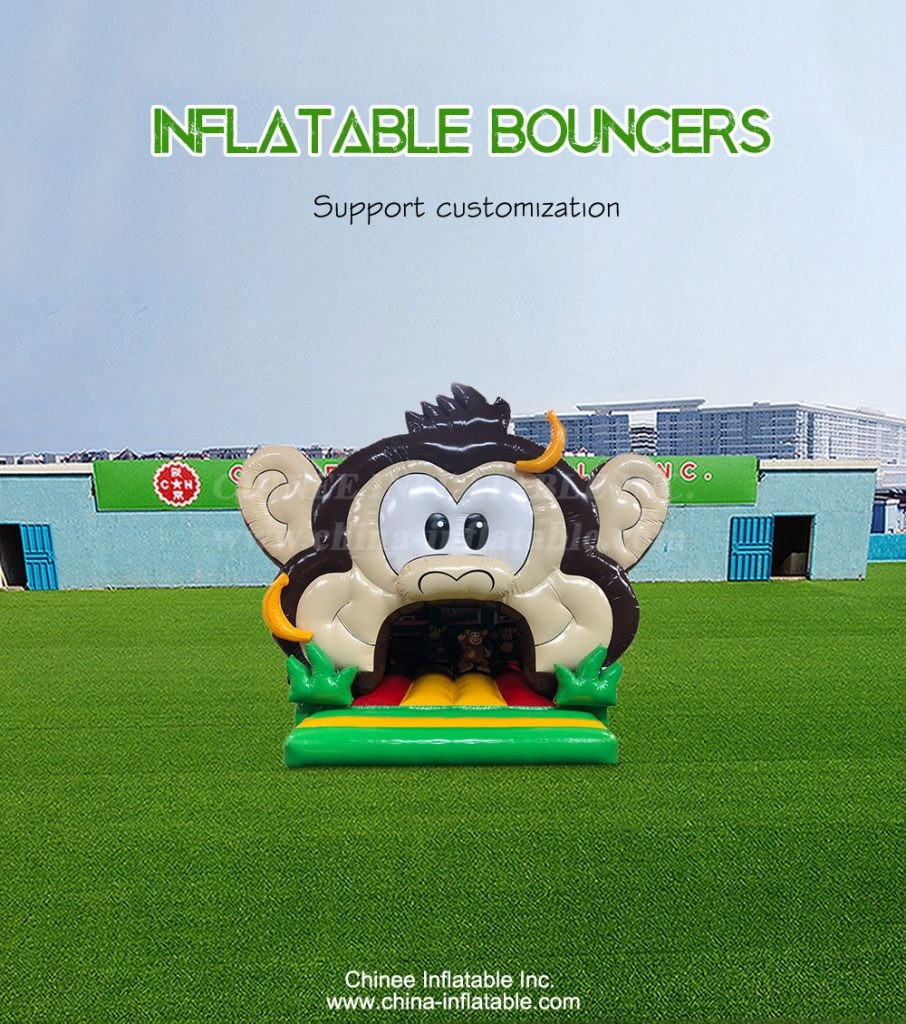 T2-4862--1 - Chinee Inflatable Inc.