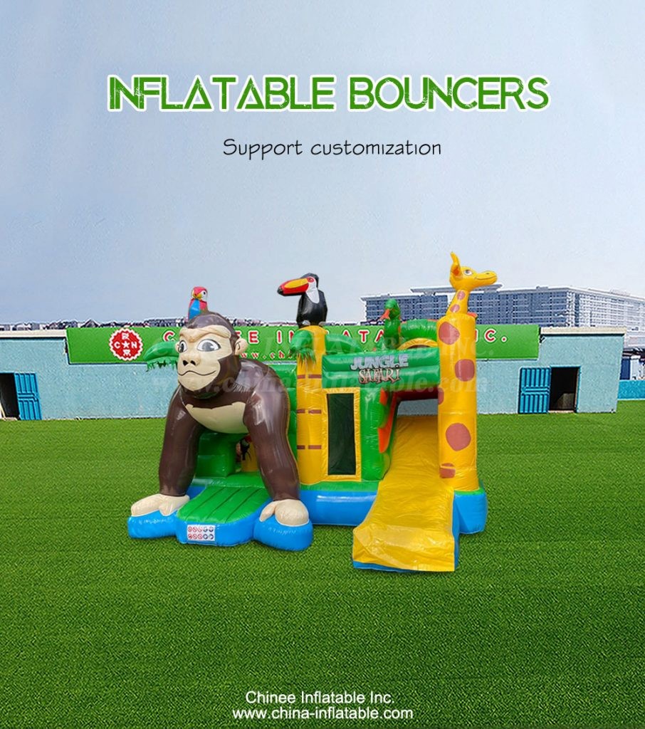 T2-4896-1 - Chinee Inflatable Inc.
