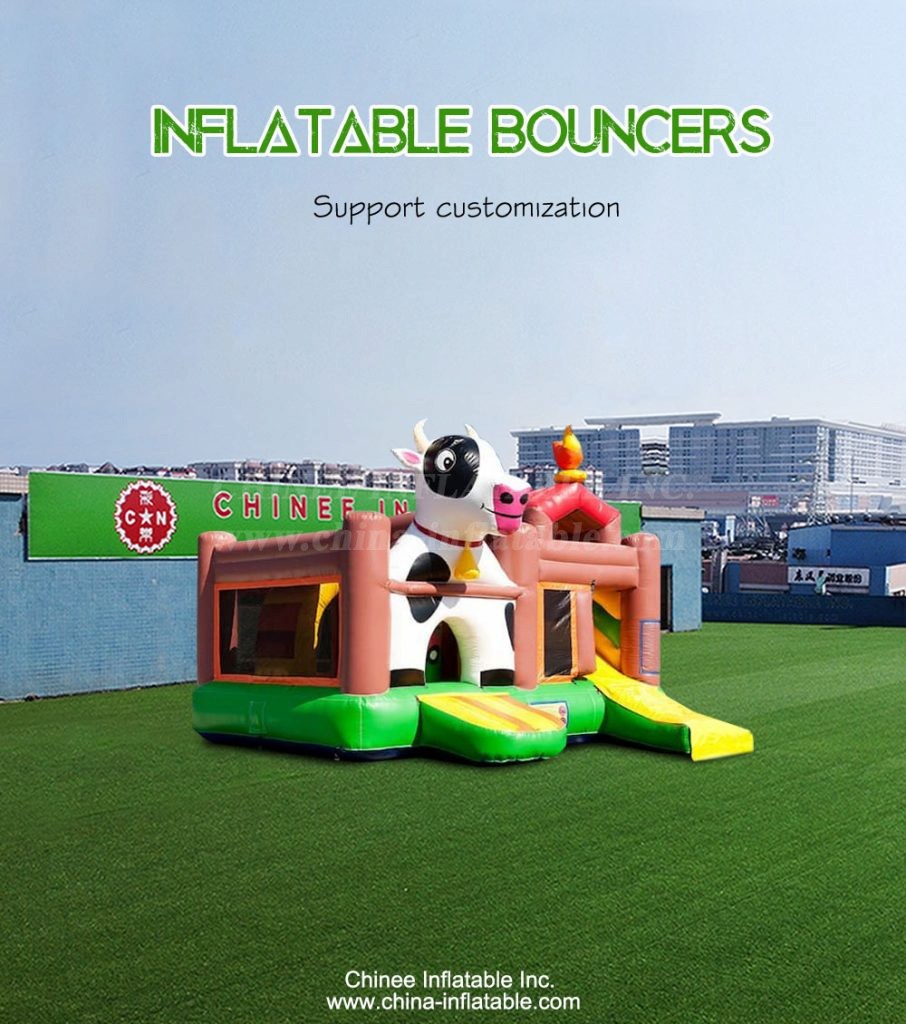 T2-4902-1 - Chinee Inflatable Inc.