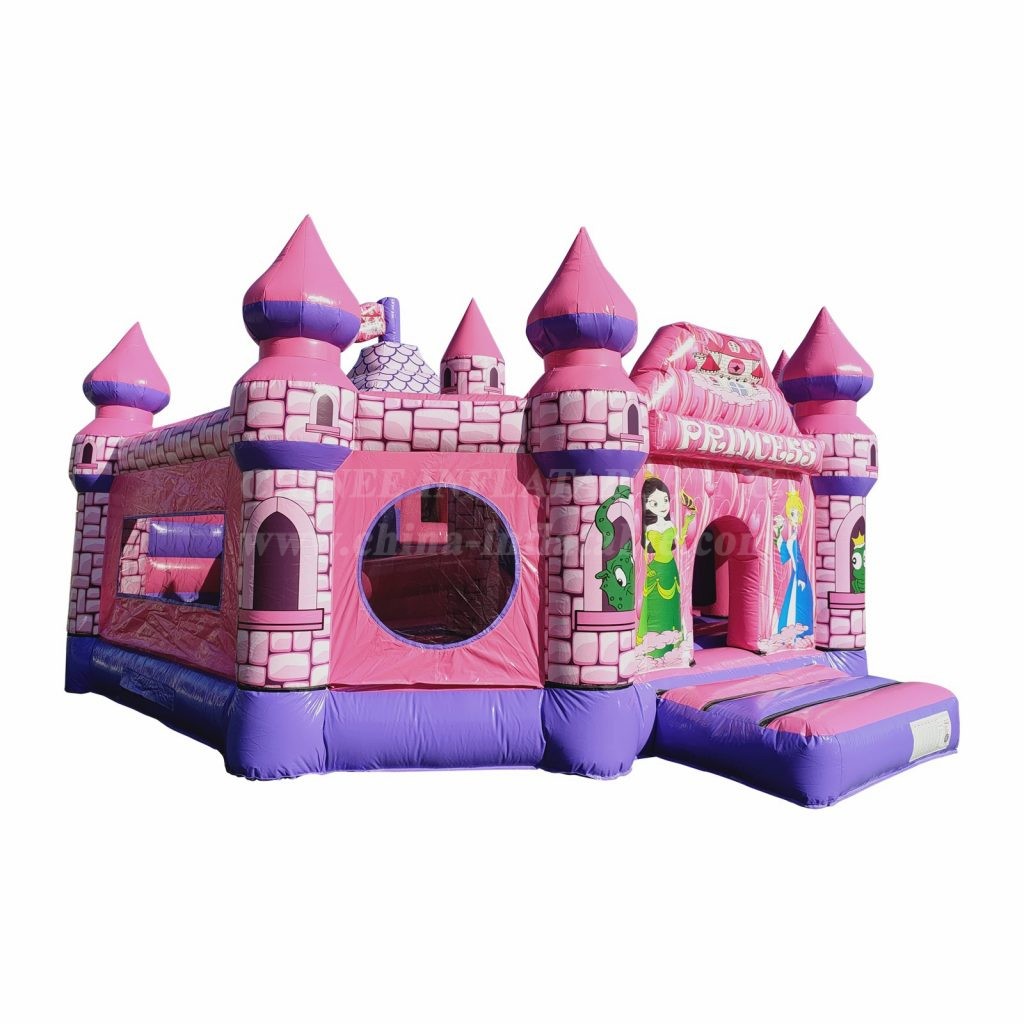 T2-4946 Princess Castle