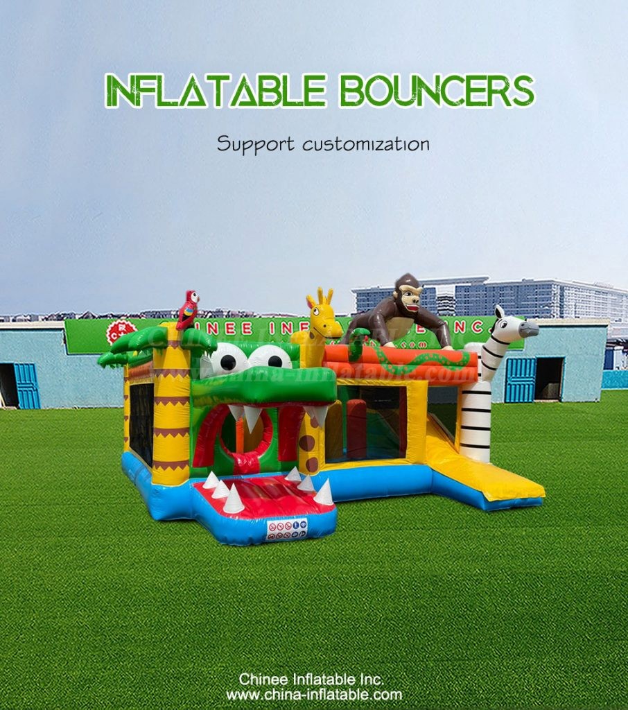 T2-4941-1 - Chinee Inflatable Inc.