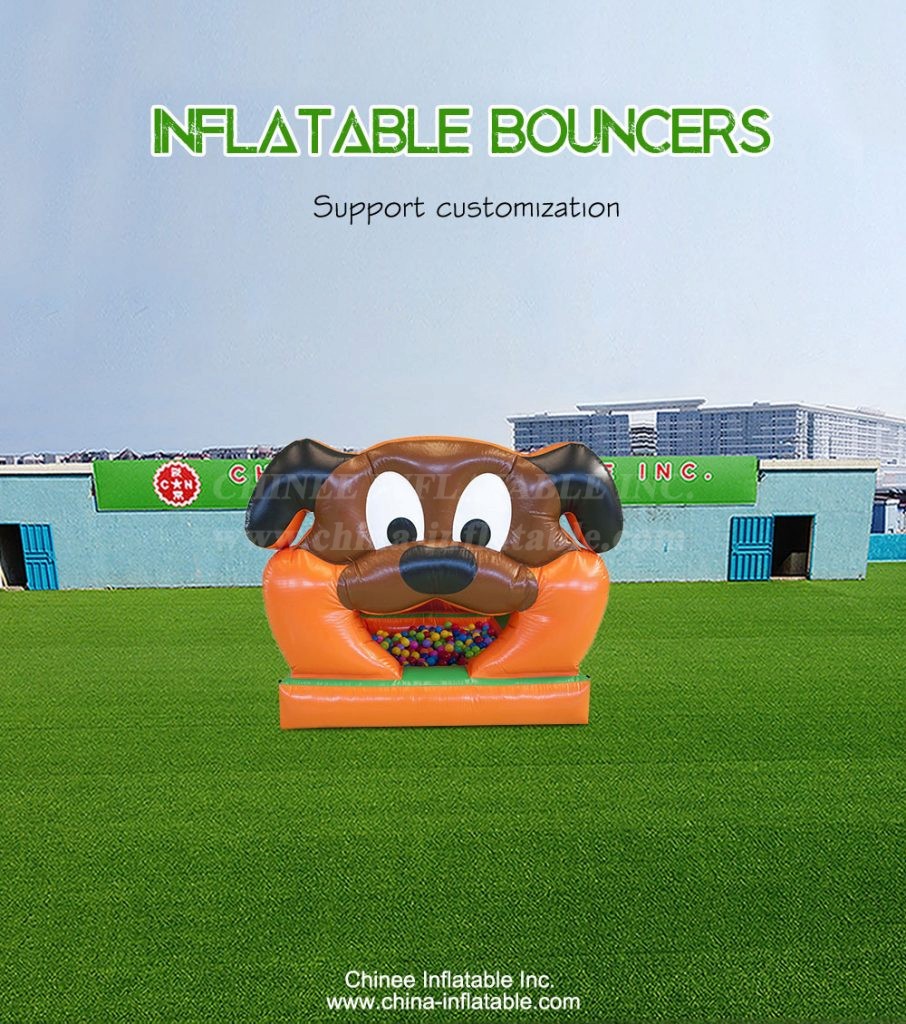 T2-4969-1 - Chinee Inflatable Inc.