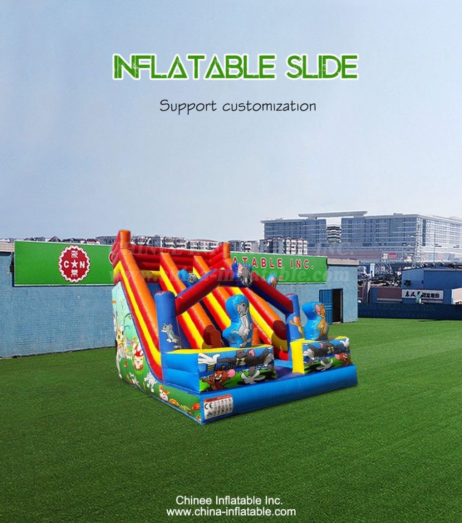 T8-4316-1 - Chinee Inflatable Inc.
