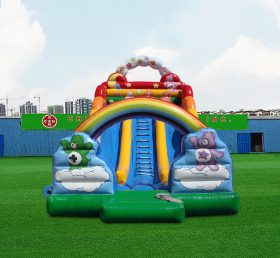 T8-4539 Inflatable Dry Slide